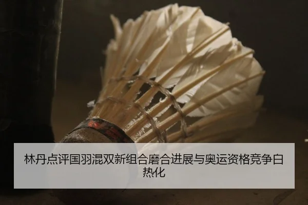 林丹点评国羽混双新组合磨合进展与奥运资格竞争白热化