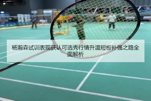 杨瀚森试训表现获认可选秀行情升温短板补强之路全面解析