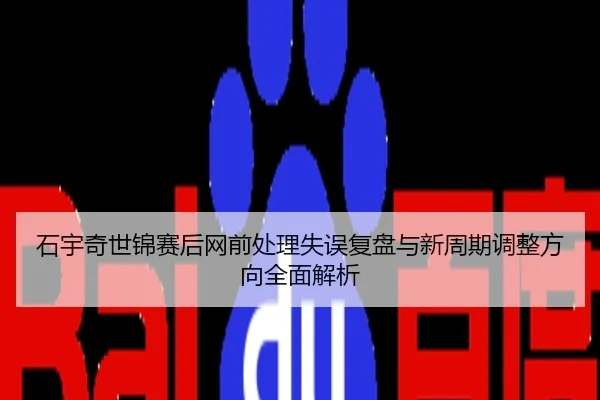 石宇奇世锦赛后网前处理失误复盘与新周期调整方向全面解析